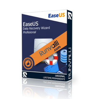 runvalli easeus data recovery
