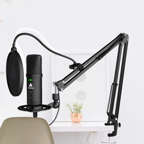 PM401 SB Microphone - Imagen 3