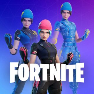 Fortnite - Wildcat Bundle DLC US Nintendo Switch CD Key