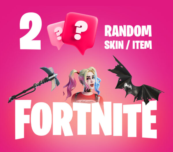 2 Random Fortnite Skins / Items PC Epic Games CD Key