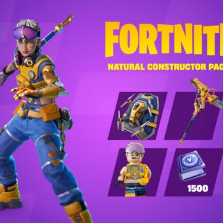 Fortnite - Natural Constructor Pack DLC AU XBOX One / Xbox Series X|S CD Key