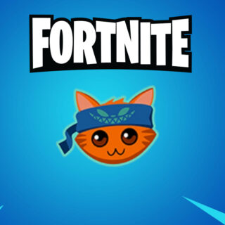Fortnite - E-meow-ticon DLC PC Epic Games CD Key (valid until October 10, 2024)