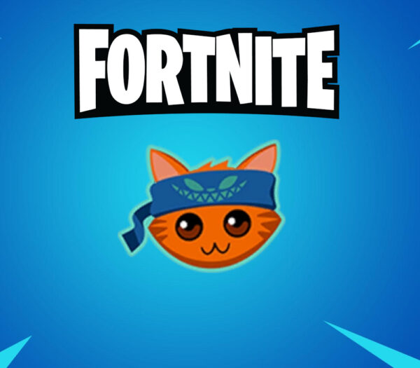 Fortnite - E-meow-ticon DLC PC Epic Games CD Key (valid until October 10, 2024)