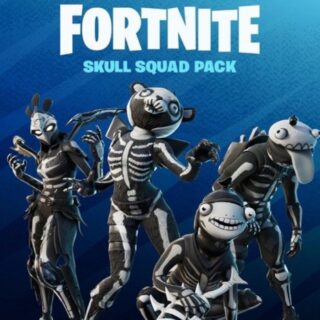 Fortnite - Skull Squad Pack ZA XBOX One / Xbox Series X|S CD Key