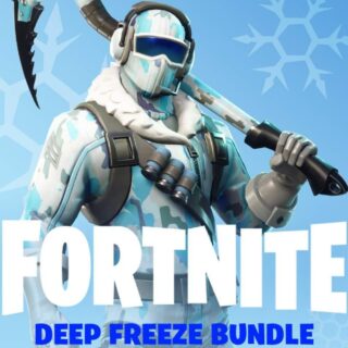 Fortnite Deep Freeze Bundle PC Epic Games Account